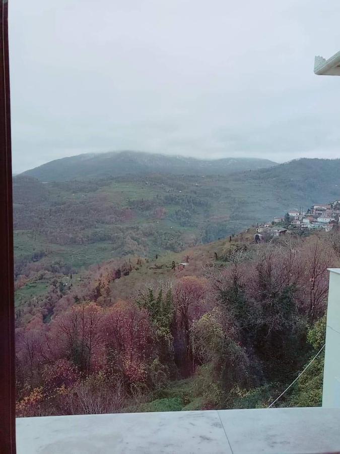 Evridiki Hotel Загора Екстериор снимка