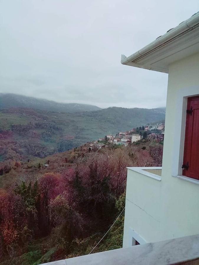 Evridiki Hotel Загора Екстериор снимка